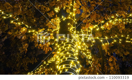 Golden yellow garlands are hung on the oak tree. Trunk and crown with dry oak leaves. Leaves sway in the wind. Christmas and New Year's decoration of city streets with illumination. Night city decor. 110093319
