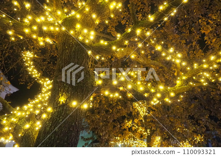 Golden yellow garlands are hung on the oak tree. Trunk and crown with dry oak leaves. Leaves sway in the wind. Christmas and New Year's decoration of city streets with illumination. Night city decor. 110093321