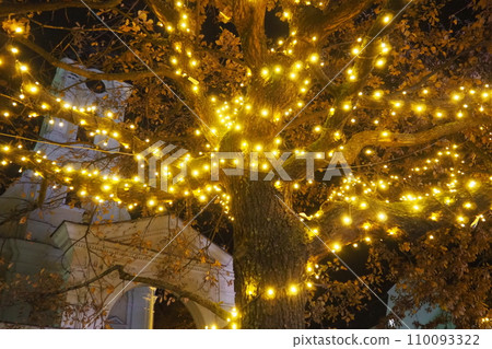 Golden yellow garlands are hung on the oak tree. Trunk and crown with dry oak leaves. Leaves sway in the wind. Christmas and New Year's decoration of city streets with illumination. Night city decor. 110093322