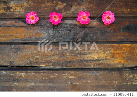 Buds of spray pink terry roses on a wooden background. Four beautiful roses are laid out on the table in a horizontal line. copy space. Free space for text. Card, surface layout. 110093411