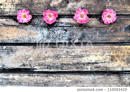 Buds of spray pink terry roses on a wooden background. Four beautiful roses are laid out on the table in a horizontal line. copy space. Free space for text. Card, surface layout. 110093420