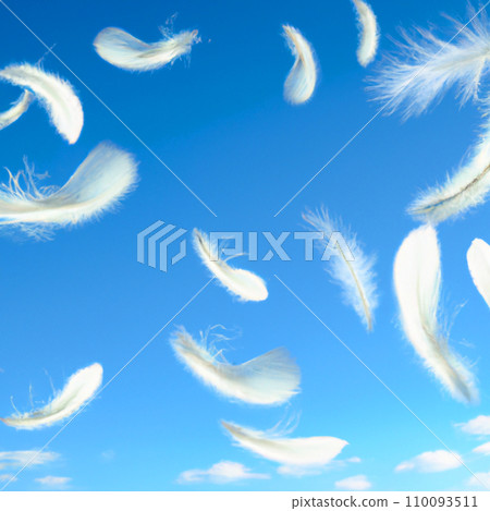 Fluffy white feathers falling down in a blue sky. Feather floating freedom concept. Flying feathers and light white clouds against the blue sky. Soft airy swan down. Clouds and sunshine 110093511