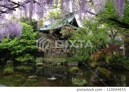 Bell tower and wisteria trellis of Nishiarai Daishi and Sojiji Temple (Adachi Ward, Tokyo) 110094655