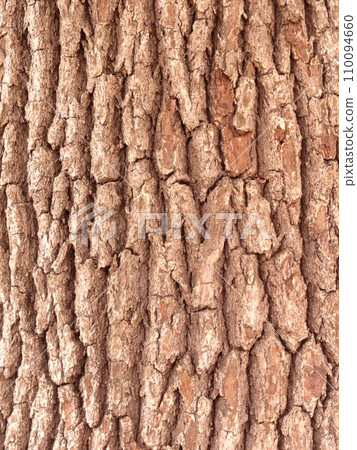 cracked bark background material cracked bark background material 110094660