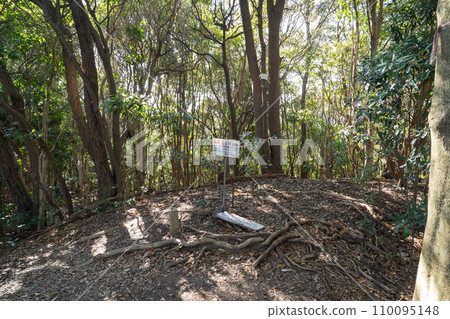 高野山（汽泉阿爾卑斯山）山頂 110095148