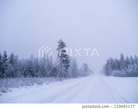 Winter forest in swedish lapland Winter forest in swedish lapland 110095177