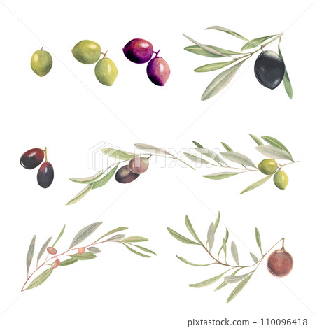 Composition with watercolor olive and olive tree branches 110096418