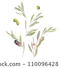 Composition with watercolor olive and olive tree branches 110096428