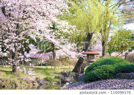 [Aichi Prefecture] Tsurumai Park in Showa Ward, Nagoya City 110096570
