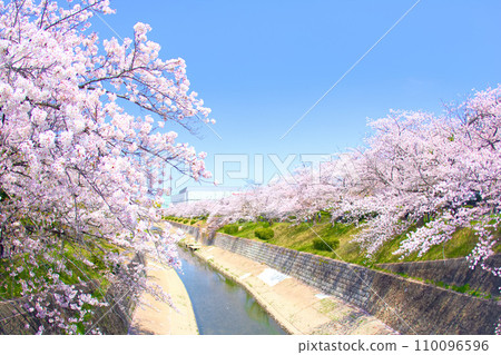 [Aichi Prefecture] Yamazaki River Four Seasons Road in Mizuho Ward, Nagoya City 110096596