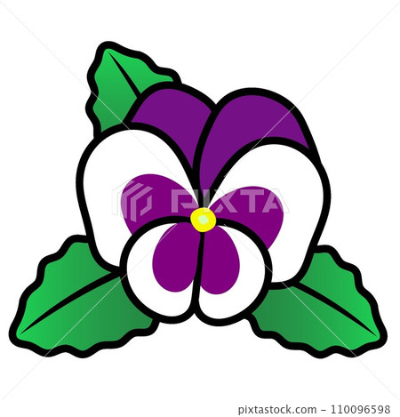 Pansy illustration 110096598