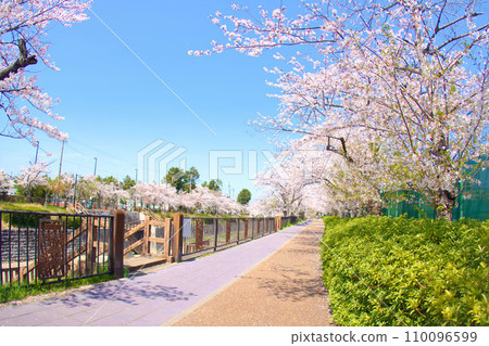 [Aichi Prefecture] Yamazaki River Four Seasons Road in Mizuho Ward, Nagoya City 110096599