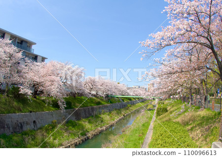 Aichi Prefecture Yamazaki River Four Seasons Stock Photo