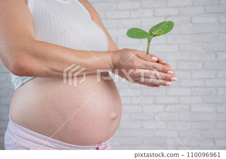 A pregnant woman is holding a sprout. Cropped tummy.  110096961