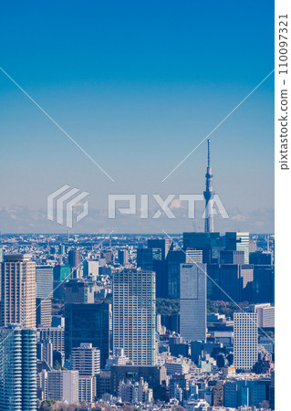 (Tokyo) Tokyo cityscape with Tokyo Skytree (Tokyo) Tokyo cityscape with Tokyo Skytree 110097321