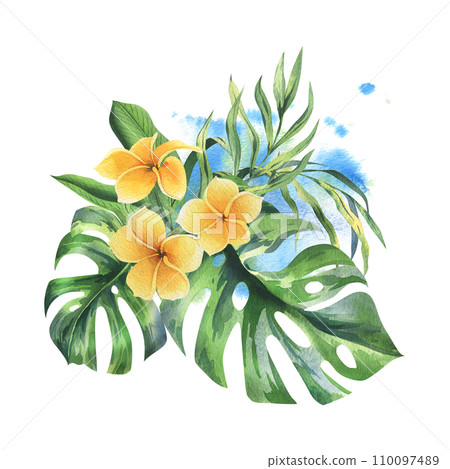 Tropical palm leaves, monstera and yellow flowers of plumeria, frangipani, bright juicy. Hand drawn watercolor botanical illustration. Isolated composition on a white background. Tropical palm leaves, monstera and yellow flowers of plumeria, frangipani, bright juicy. Hand drawn watercolor botanical illustration. Isolated composition on a white background. 110097489