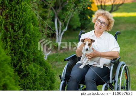 Elderly caucasian woman hugging a jack russell terrier dog while sitting in a wheelchair on a walk outdoors.  110097625