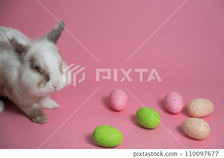 Easter Bunny on a pink background with colorful painted eggs. 110097677