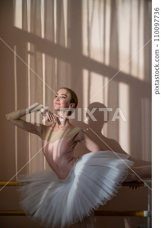 Portrait of a graceful ballerina in a white tutu in a dance class. Portrait of a graceful ballerina in a white tutu in a dance class. 110097736