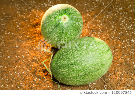 Cantaloupe on the field 110097845