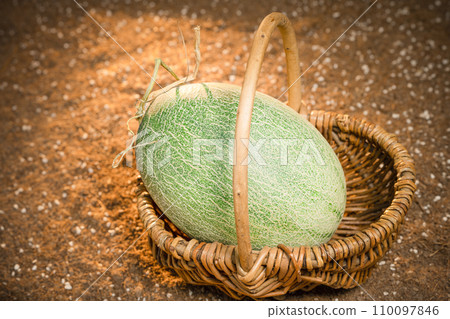 Cantaloupe on the field 110097846