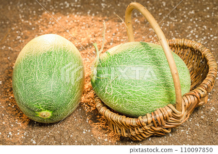 Cantaloupe on the field Cantaloupe on the field 110097850