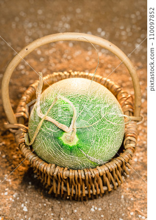 Cantaloupe on the field 110097852