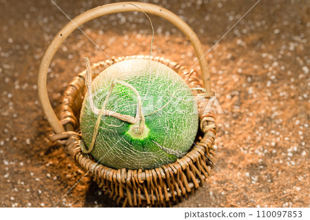 Cantaloupe on the field Cantaloupe on the field 110097853