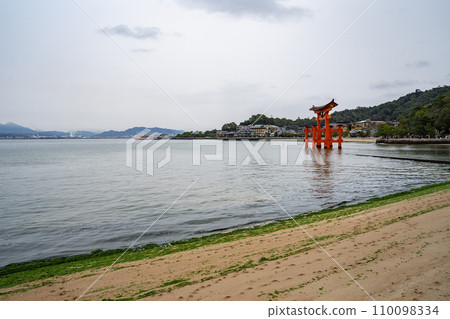 Miyajima Island, Itsukushima Shrine's Great Torii Gate, a breathtaking view floating in the Seto Inland Sea 110098334