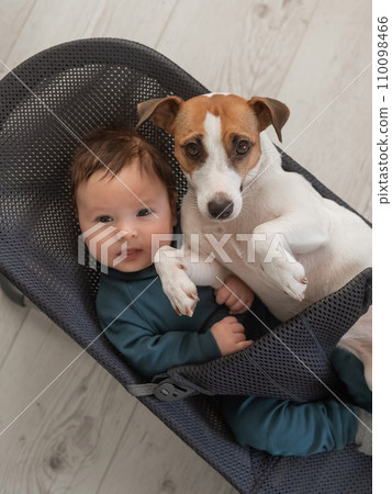 A dog and a cute three-month-old boy dressed in a blue overalls are sitting together in a baby lounger. Vertical photo. A dog and a cute three-month-old boy dressed in a blue overalls are sitting together in a baby lounger. Vertical photo. 110098466