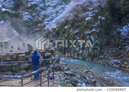 Snow monkeys relaxing in a hot spring [Jigokudani Monkey Park] 110098987