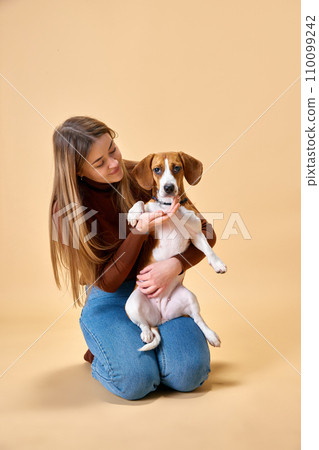 Lady sitting with dog, purebred Beagle. Beautiful woman holding in her arms and lovely looking at cute pet against beige background. 110099242