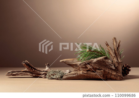 Abstract north nature scene with a composition of lichen, pine branches, and dry snags. 110099686