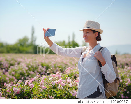 Field of roses in sunny summer day 110100087