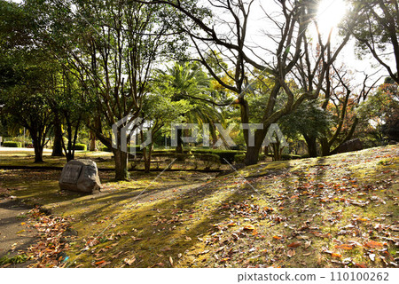 秋天的弘美公園 秋天的弘美公園 110100262