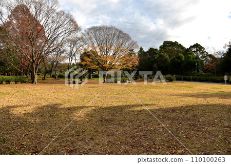 秋天的弘美公園 秋天的弘美公園 110100263