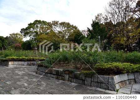 富士弘美公園 富士弘美公園 110100440