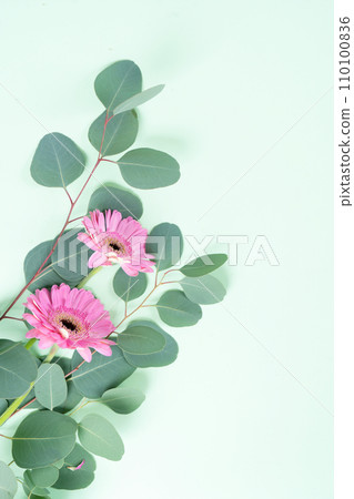 wedding or mothers day backgroundgreen eucaliptus leaves over mint green background 110100836