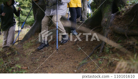 Group of tourists with trekking poles walk along trail 110101610