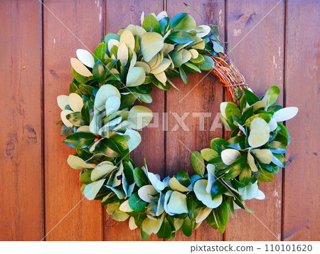 wreath of feijoa wreath of feijoa 110101620