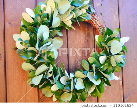 wreath of feijoa wreath of feijoa 110101624