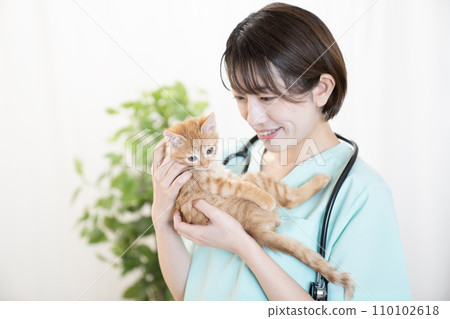 Female veterinarian holding a kitten 110102618