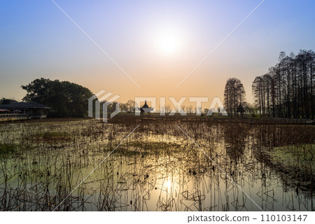 Sunset at East Lake Cherry Blossom Garden, Wuhan. 110103147
