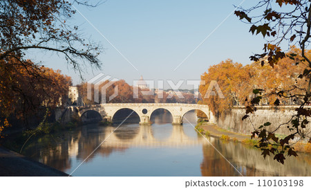 Leaves and trees on tevere river with Sisto bridge Leaves and trees on tevere river with Sisto bridge 110103198