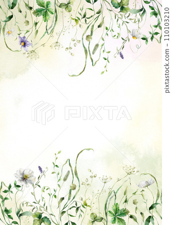 Watercolor card of meadow grasses and herb. Hand painted floral illustration isolated on white background. For design, print, fabric or background. 110103210