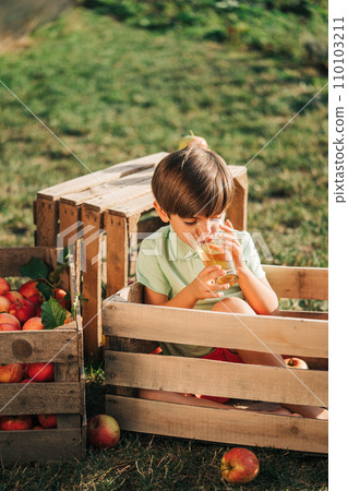 Cute little toddler boy drinking apple juice. Child in wooden box in orchard. 110103211