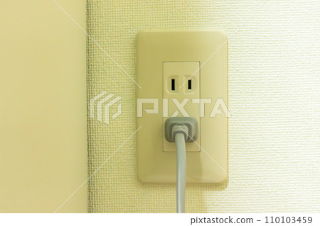 Insert the plug into the outlet Insert the plug into the outlet 110103459