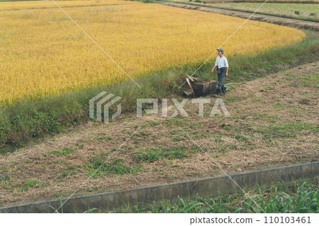 farming, farmer, farmhouse 110103461