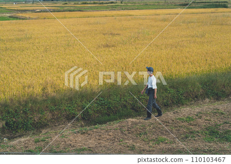 farming, farmer, farmhouse 110103467