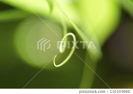 Botanical garden 110103660
